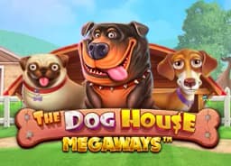 tramadoly: The Dog House Megaways